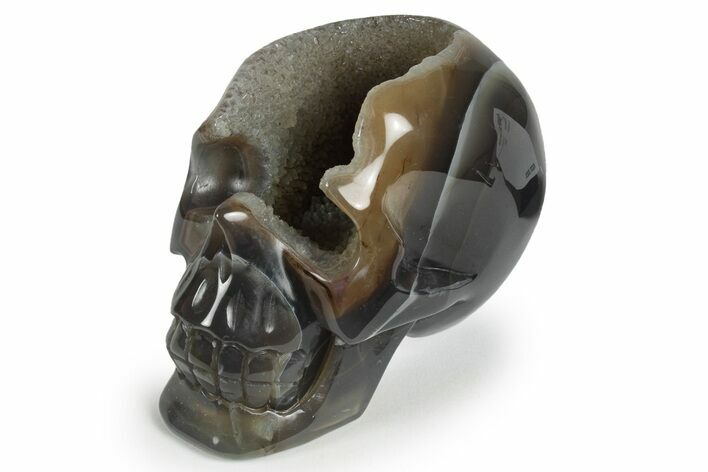 Polished Banded Agate Skull - Halloween Special #237023